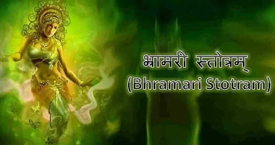 भ्रामरी स्तोत्रम् का पाठ,Bhramari Stotram,